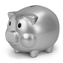 silver piggy coin bank