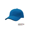 Embroidered Caps