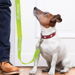 Pet Lead Fronuk