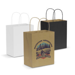 Medium-size paper carry bag with strong paper rope handles Publicity Promotional Products