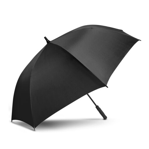 Patronus Umbrella - Image 5