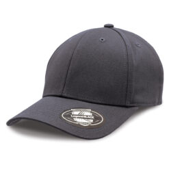 charcoal sticker cap Staple Cap legend Black