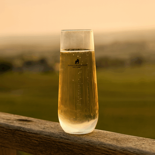 Stemless Shatterproof Champagne Glass