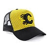 Aspect Cap
