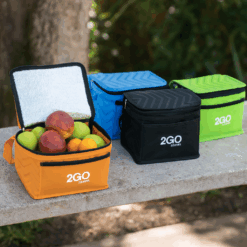 Lunch-Time Cooler Bag